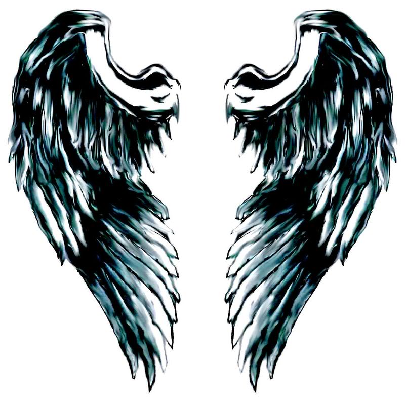 800x798 Dark Angel Wings Clipart