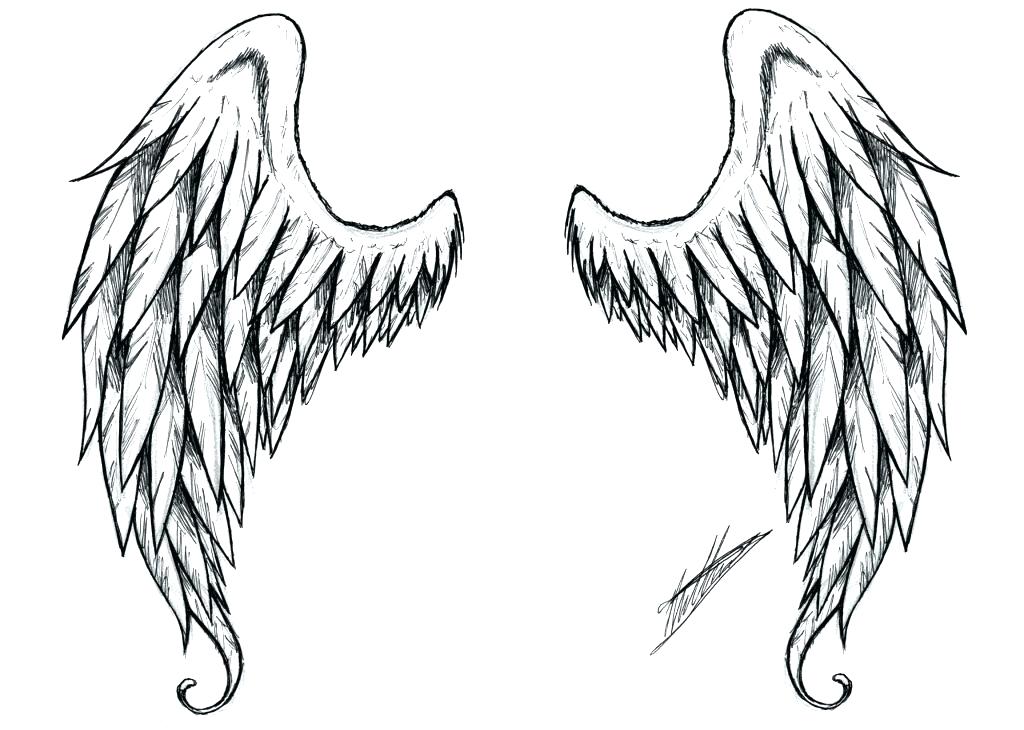 1024x730 Wing Drawing In Tattoo Wings Drawing Wings Angel
