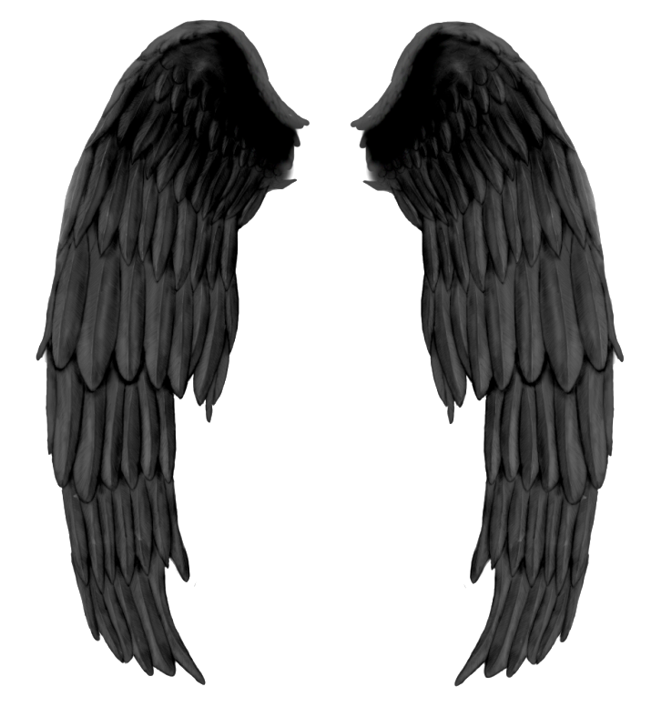 738x799 Wings Png Images Free Download, Angel Wings Png