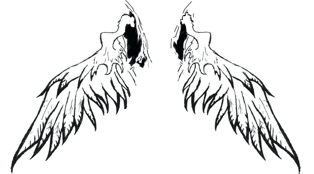 1026x570 Angel Wing Clipart Akshayreddy