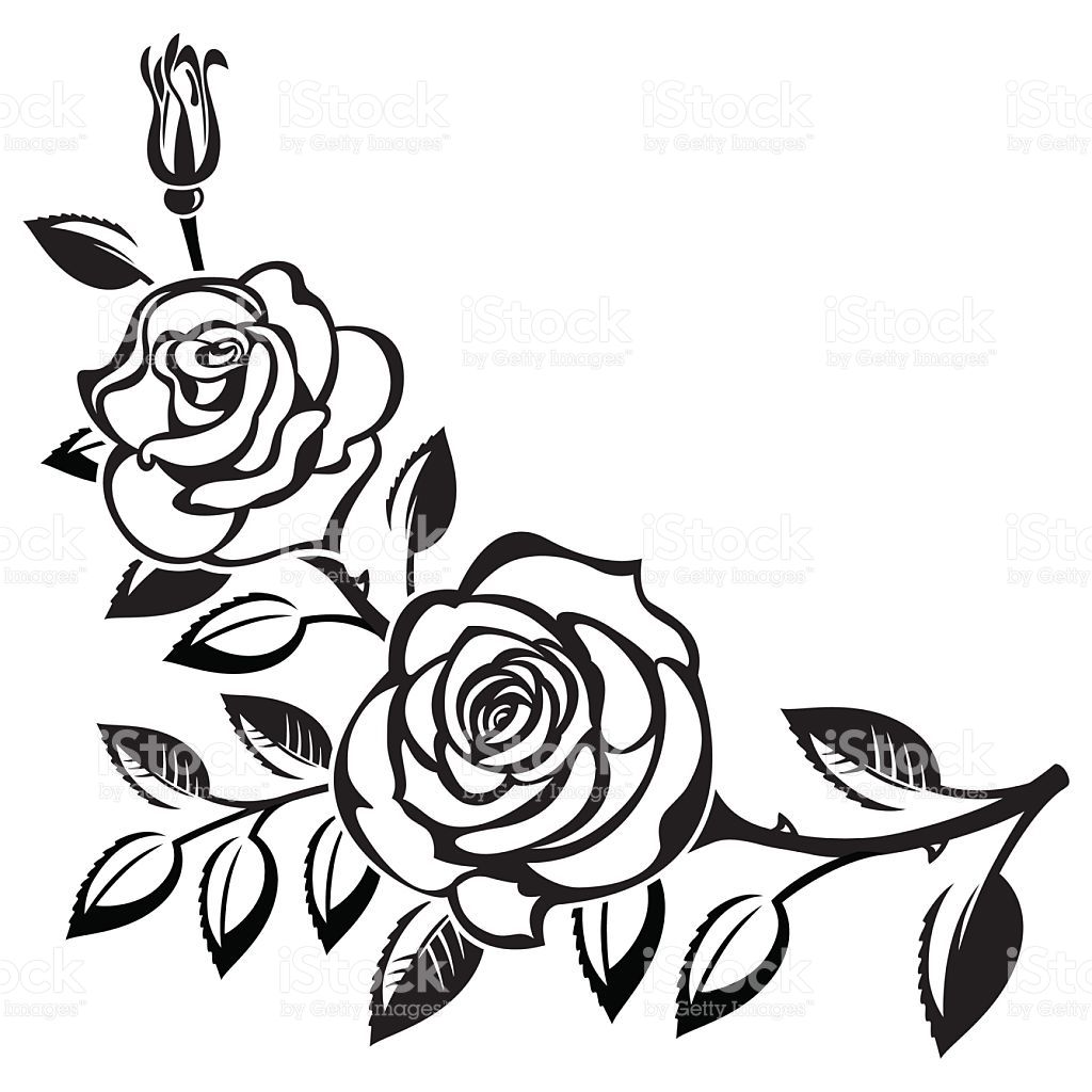1024x1024 Branch Of Roses On A White Background In Art Background