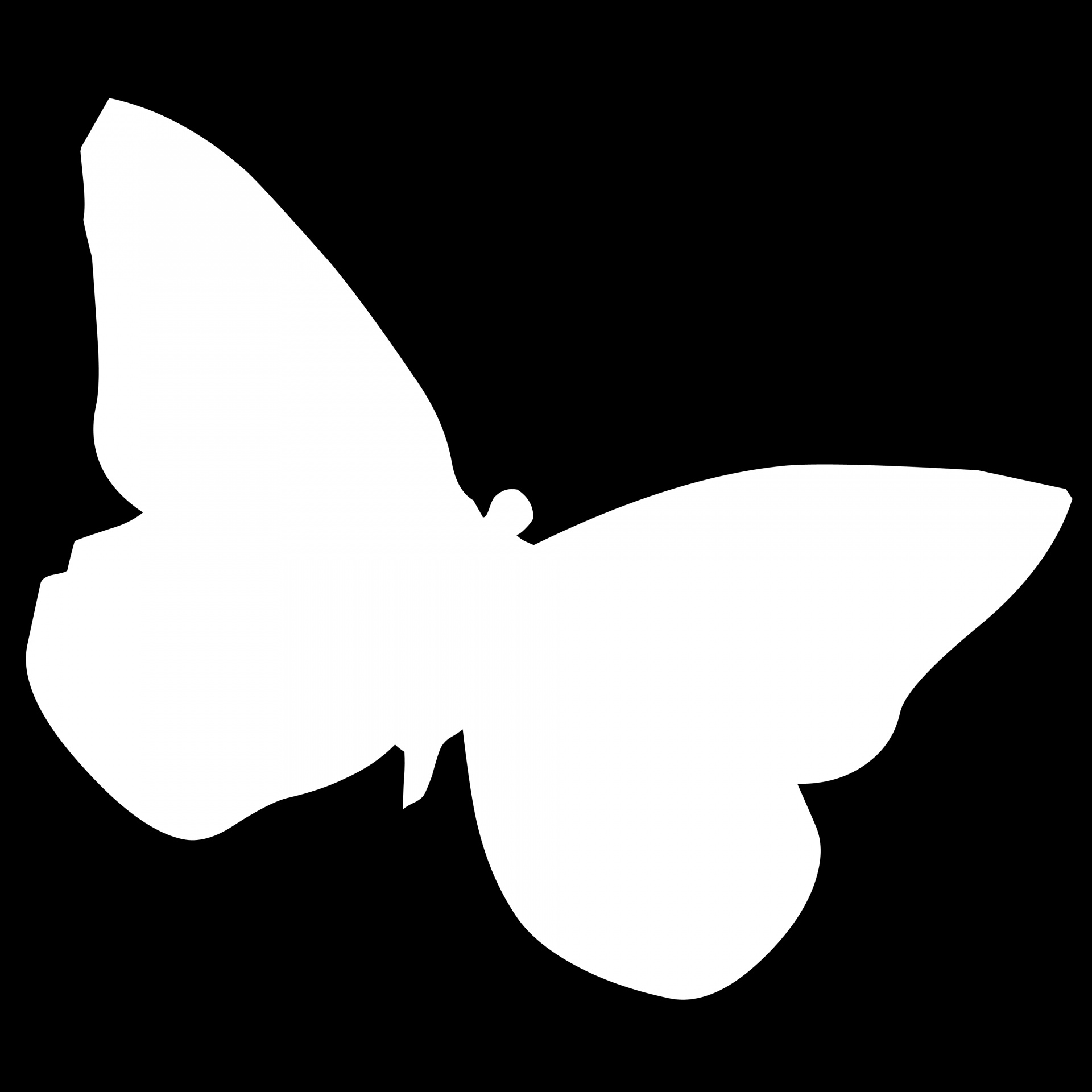1920x1920 Drawing, White, Butterfly, Black, Background