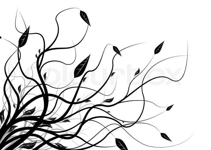 800x569 Floral Abstract Black And White Stock Vector Colourbox