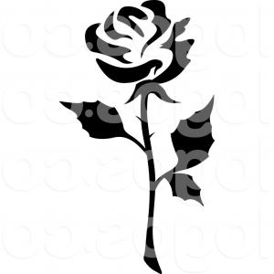 300x300 Black Branch Of Roses Drawing On White Background Gm Soidergi
