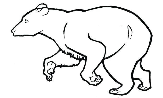 680x411 black bear drawing black bear black bear drawing png