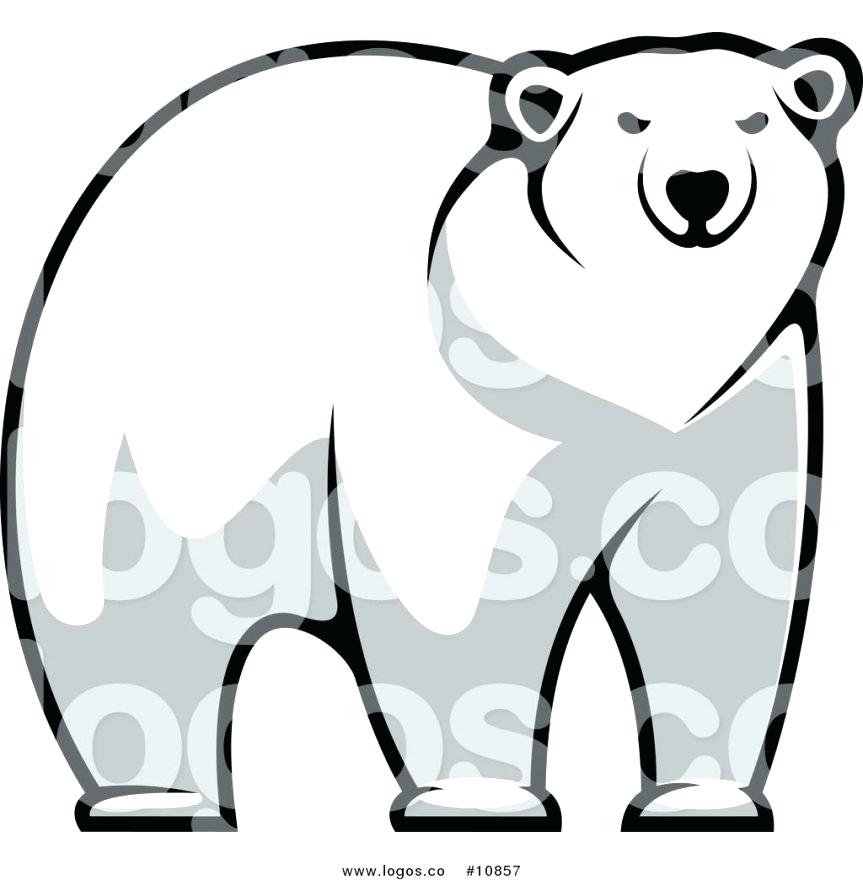 863x880 Black Bear Drawing Outline At Free For Personal Polar Teddy Images