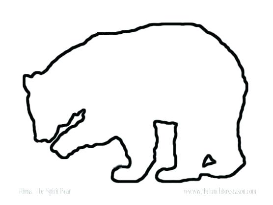 556x419 Polar Bear Outline Image Polar Bear Outline Pdf