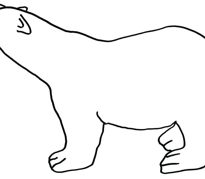 678x592 bear outline panda bear draw we panda teddy bear outline drawing