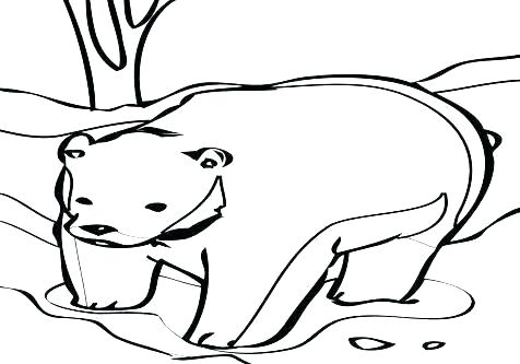 476x333 Bear Face Coloring