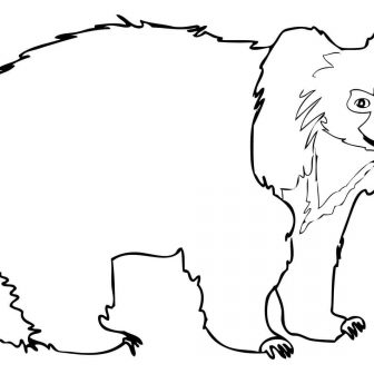 336x336 Cute Black Bear Drawing Tags Abraham Lincoln Drawing Abstract