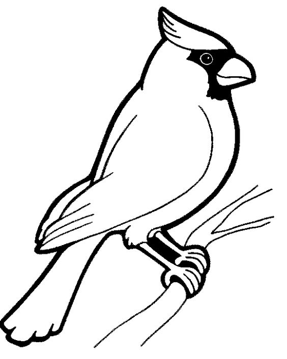 Black Capped Chickadee Drawing