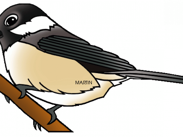 640x480 Chickadee Vector Blackcapped Transparent Png Clipart Free