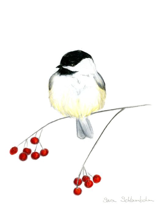 524x720 Chickadee With Cranberries