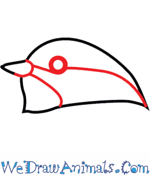 300x350 How To Draw A Black Capped Chickadee