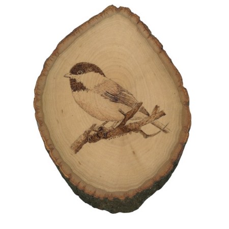 450x450 Black Capped Chickadee Wood Burning On Country Basswood