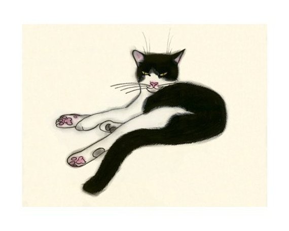 570x456 Cat Drawing Cat Print Tuxedo Cat For Sale Simon Black Etsy