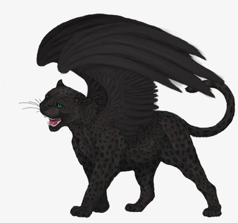 820x768 Leopard Black Panther Felidae Cat Drawing