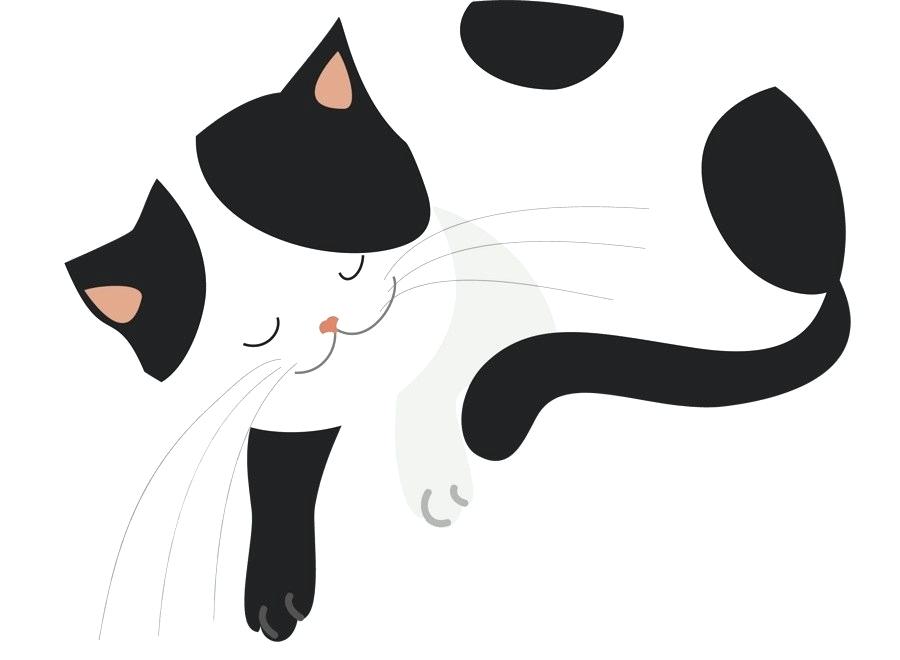 900x660 Simple Cat Drawing Simple Cat Drawing Step