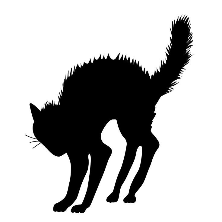 736x736 Brilliant Black Cat Clipart Silhouette Of At Get Drawing Com Free