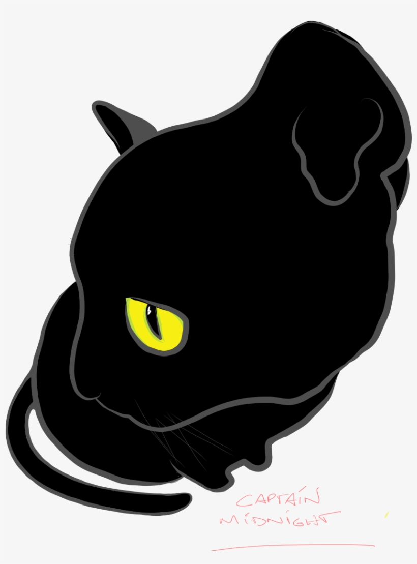 820x1109 Cat Drawing Black And White At Getdrawings