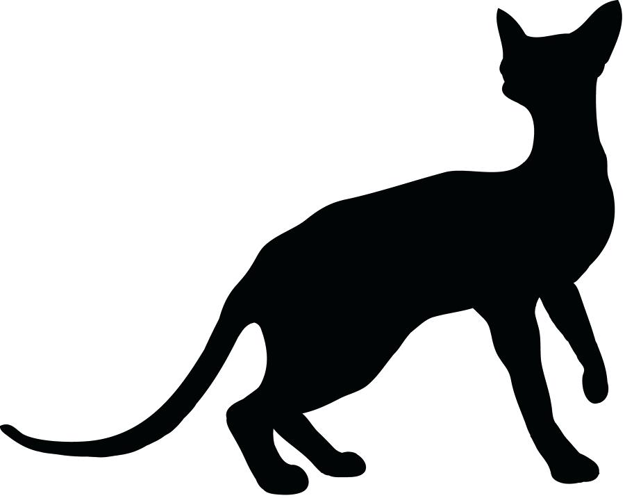 900x717 Design Several Cat Outlines Illustrations Freelancer Black Outline