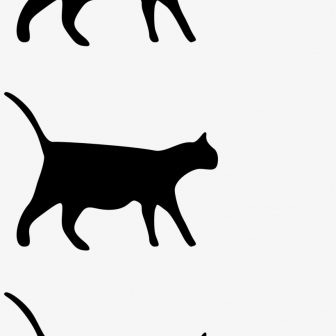 336x336 Black Cat Drawing Halloween Sleeping And White Face Angry Sphynx