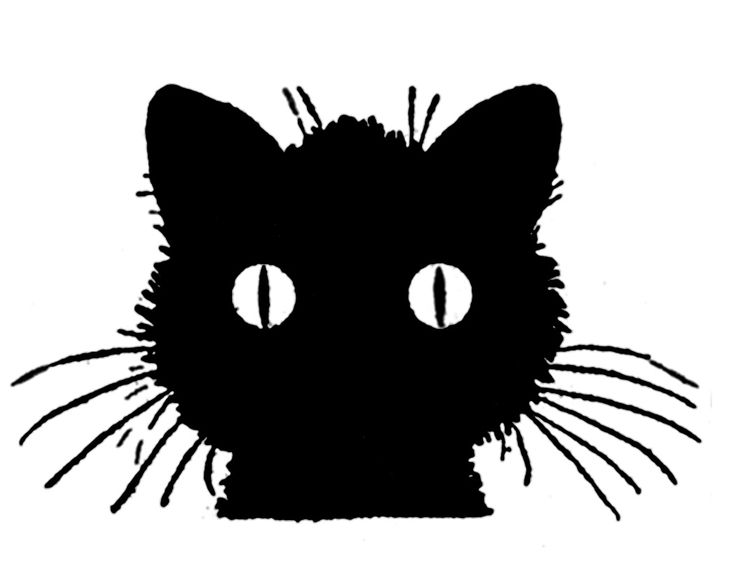 736x574 Black Cat Face Clipart Clip Art