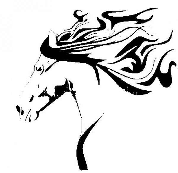 600x584 Black Diamond Farms On Equinenow