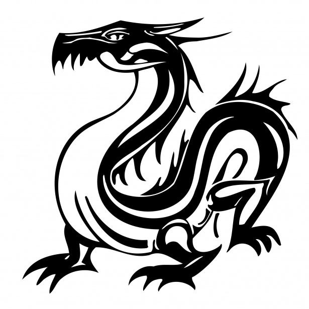 615x615 Black Dragon Free Stock Photo