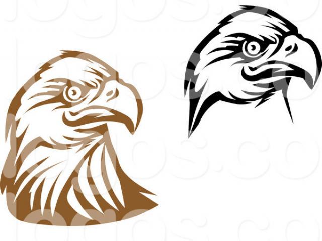 640x480 Clipart Wallpaper Blink