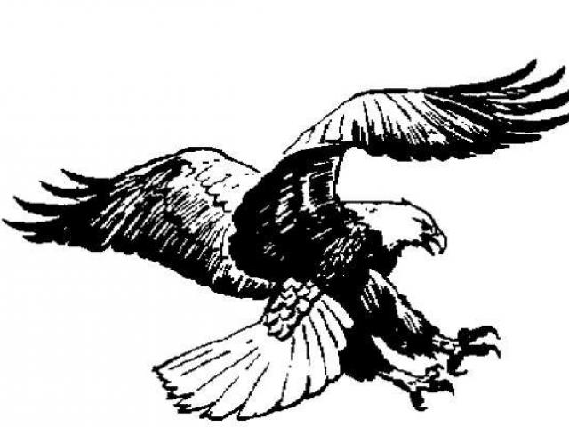 640x480 Free Black Eagle Clipart, Download Free Clip Art