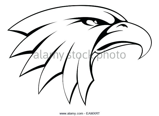640x469 Bald Eagle Drawing Mattlatham