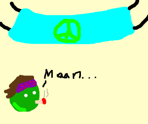 300x250 The Black Eyed Peas