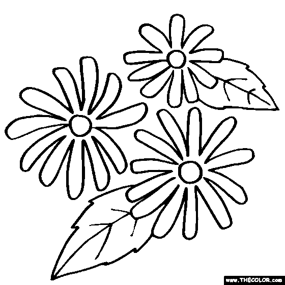 560x560 Black Eyed Susan Flower Online Coloring Page