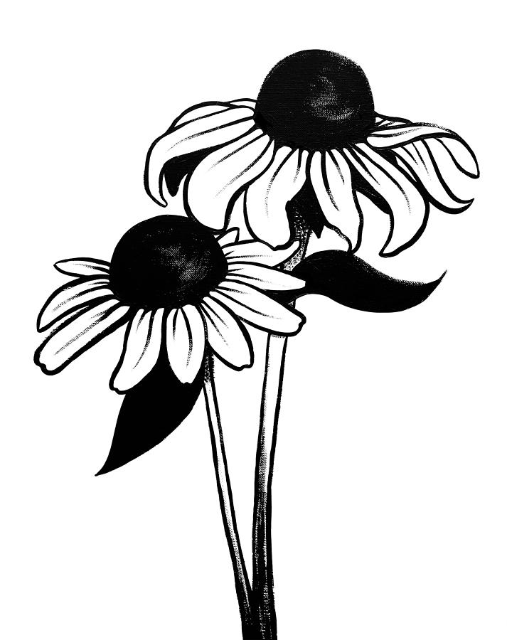 Black Eyed Susan Drawing | Free download on ClipArtMag