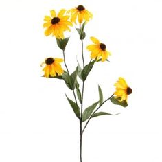 236x236 Best Tattoos Images Black Eyed Susan, Drawings, Art