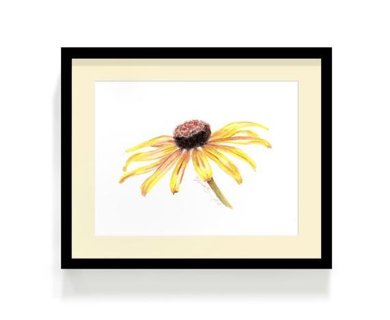 570x468 What I'm Working On Black Eyed Susan Pastel Pencil Drawing