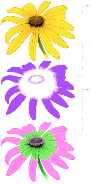 297x598 Bees Can Spot A Hidden Pattern In Maryland's State Flower Urban