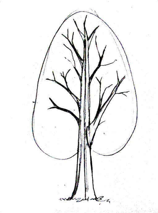 511x690 Inspirational Family Tree Clipart Pictures How Draw