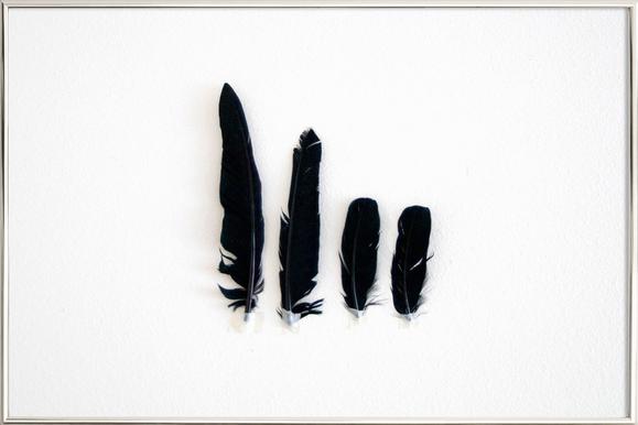579x386 Black Feathers As Poster In Wooden Frame