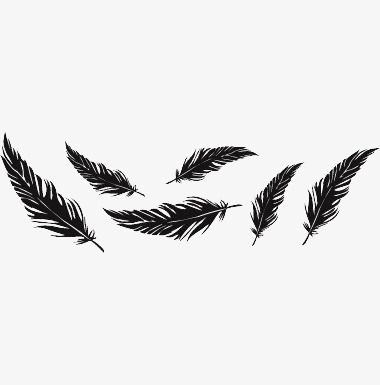 380x385 Free Floating Black Feather Material Matting, Feather, Black