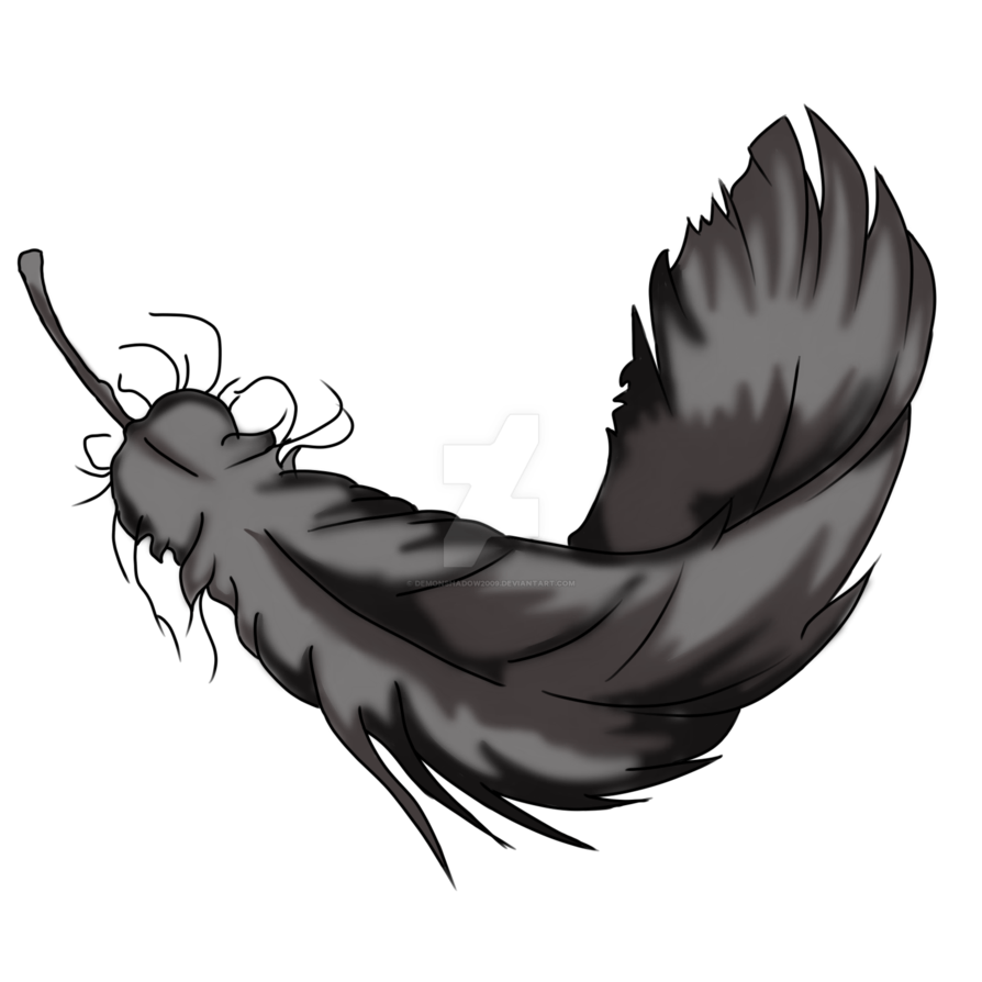 894x894 Twin Drawing Feather Transparent Png Clipart Free Download