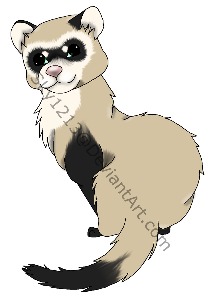 754x1060 Black Footed Ferret