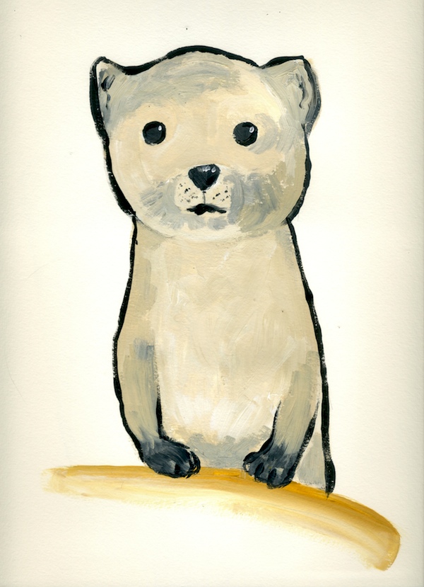 600x829 Endangered Animals The Black Footed Ferret The Illustrationist