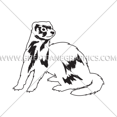 385x385 Ferret Drawing, Picture