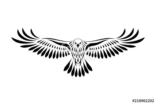 500x334 Engraving Of Stylized Hawk Linear Drawing Decorative Bird