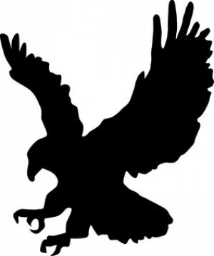 300x360 Hawk Blackhawk Clipart