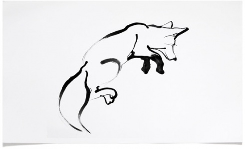 491x300 Eri Griffin Pen Ink Illustrations Black White Drawings