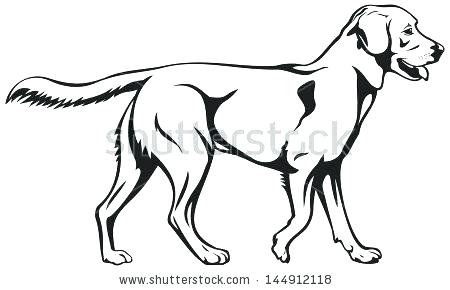 450x290 Black Lab Coloring Pages Free Printable Sheets Puppy Line Drawing