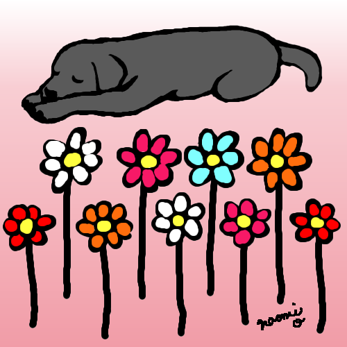 500x500 Black Labrador Sleeping In The Flowers Digital Drawing Labrador